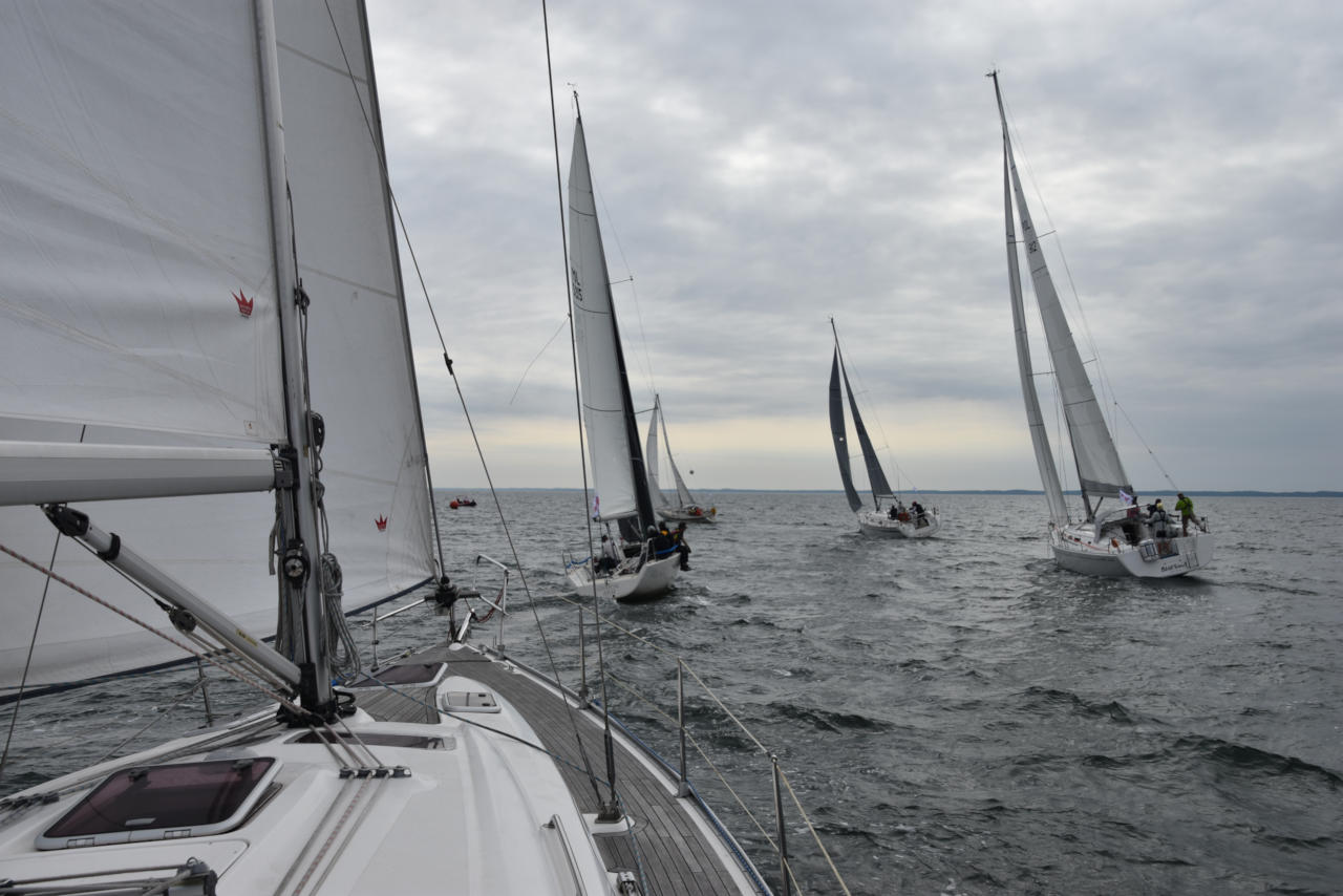 Eljacht Cup 2019